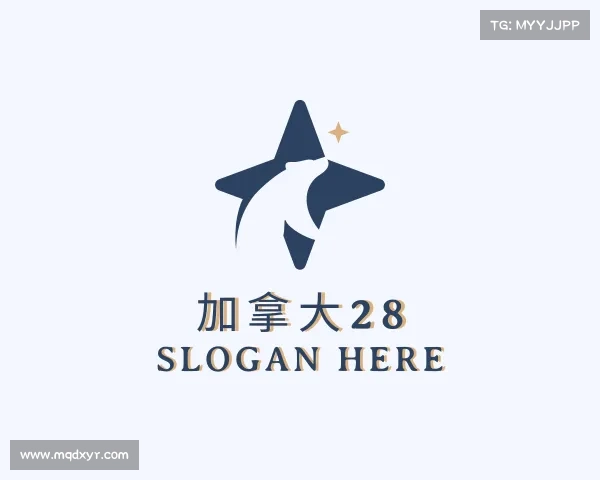 解读加拿大28